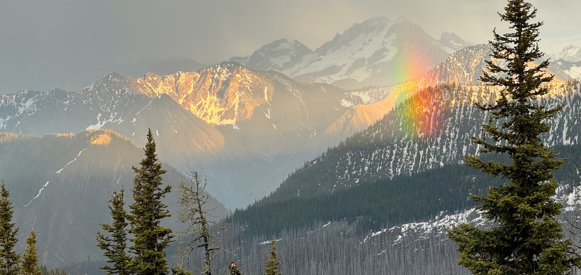 Cover Image for One year since I left Stehekin the first time